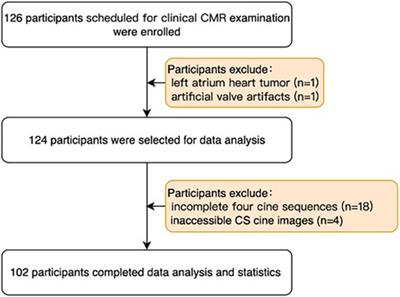 The effects of flip angle and gadolinium contrast agent on single breath-hold compressed sensing cardiac magnetic resonance cine for biventricular global strain assessment